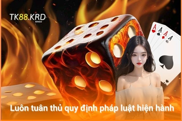 TK88 luôn tuân thủ các quy định pháp luật hiện hành