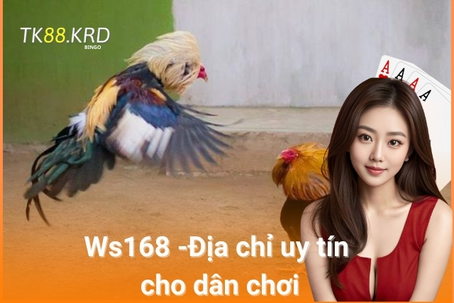 Sảnh Đá Gà Ws168 - địa chỉ uy tín cho dân chơi